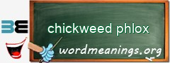 WordMeaning blackboard for chickweed phlox